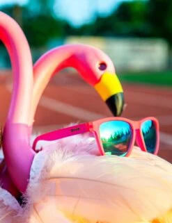 Goodr Flamingos On A Booze Cruise - Pink -Outlet Elevate Activewear Store goodr sunglasses flamingos on a booze cruise pink 7