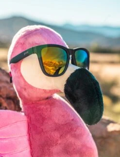 Goodr Whiskey Shots With Satan - Black -Outlet Elevate Activewear Store goodr sunglasses whiskey shots with satan black 2